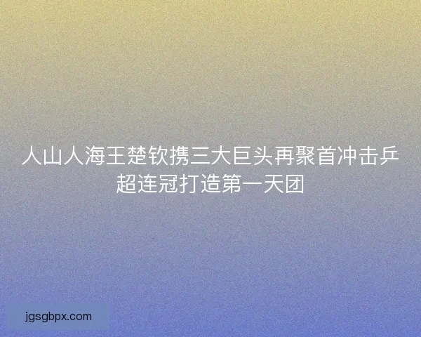人山人海王楚钦携三大巨头再聚首冲击乒超连冠打造第一天团