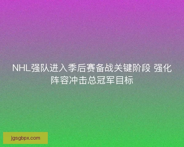 NHL强队进入季后赛备战关键阶段 强化阵容冲击总冠军目标