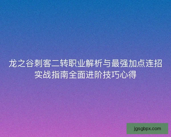 龙之谷刺客二转职业解析与最强加点连招实战指南全面进阶技巧心得